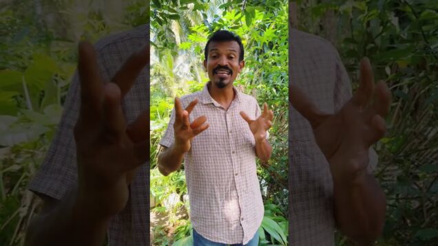 ගාඩ්න් කරද්දි එපාම කරපු ගහෙන් බෙහෙතක්