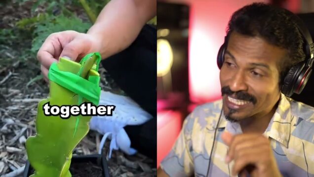 dragon fruit බද්දය