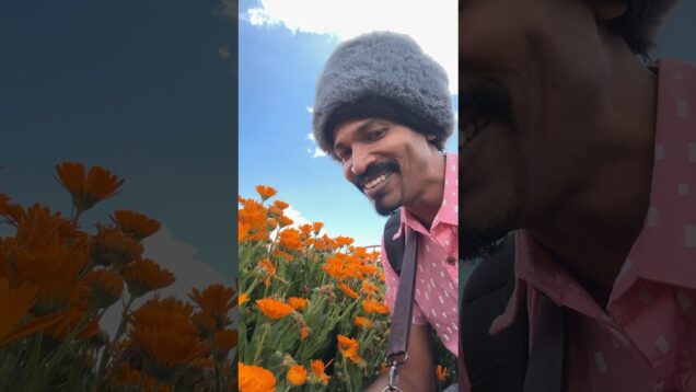 මල් වත්තක