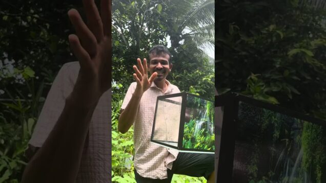 මාලු වතුර