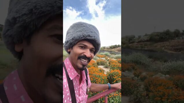 පිලිපීන මල්