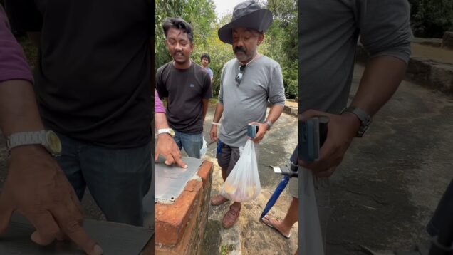 පරණ සිංහල