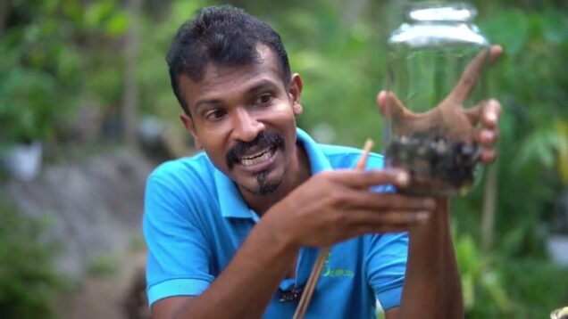 ගෙදර ඉදලම ඩොලර්(Doller) හොයන්න පුලුවන් කියල දන්නවද?