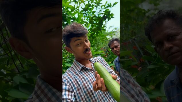 Daily vlog මෙහෙම යාලුවෙක් ඔයාටත් ඉන්නවද
