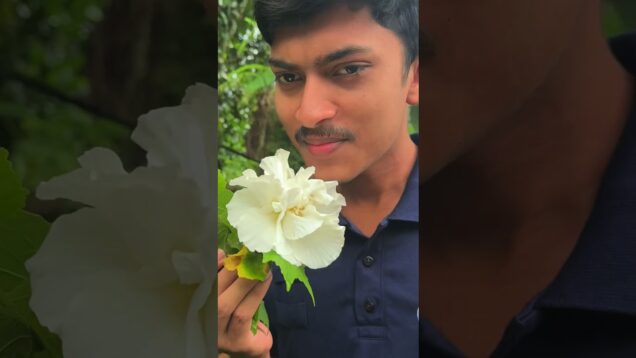 දිව්‍යලෝකයක් වගේ ගෙවත්තක් හදමු 0719775775 – 0716028824