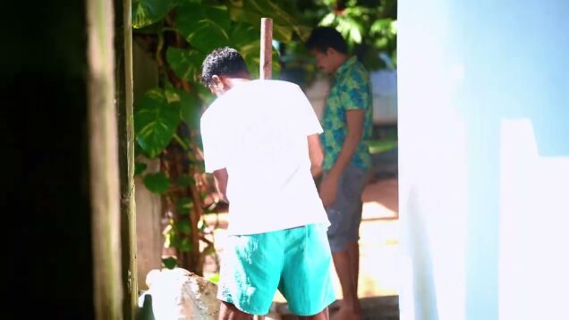 විනාඩි 5න් ඔයාගෙ ගෙවත්තත් ලස්සන කරගමුද?