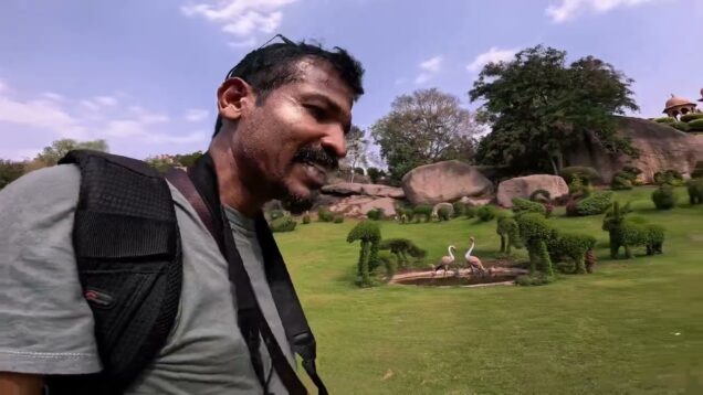 ගස් සතුන් කිරීමේ කලාව Topiary garden 0719775775 – 0716028824