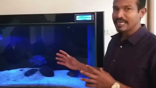 කලාත්මක Rock garden design – Sri lanka garden design – garden lighting – garden.lk 0716028824