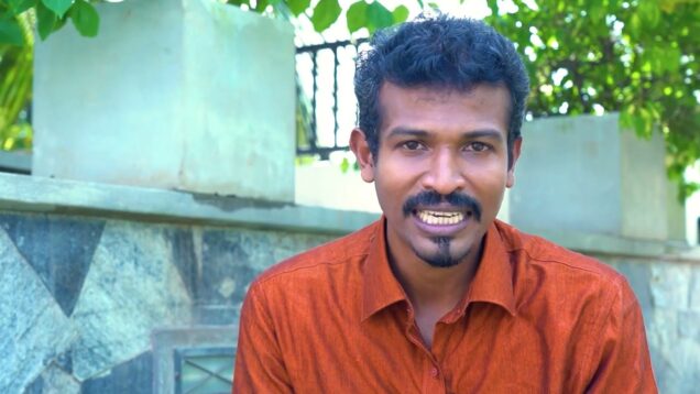 Landscaping / garden