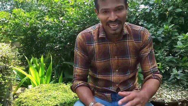 How to make a beautiful lawn – turf – grass – sri lanka garden design