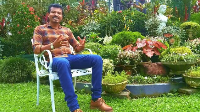 ලස්සන මල් පාත්තියක් නිර්මාණය DIY flower bed sri lanka 0716028824