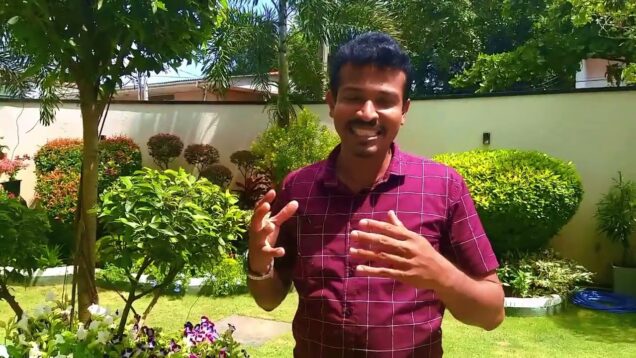 Nature ❤ love උද්‍යානයට ශාක හැඩතල