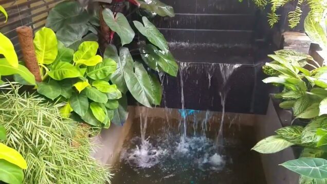 sri lanka water curtain design – Koi pond දියඇලි රහස් 0716028824