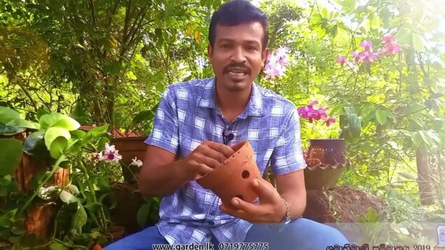 ලස්සන ඕක්‍රිඩ් මල් වලින් ලක්ෂ ගනන් උපයමු how to