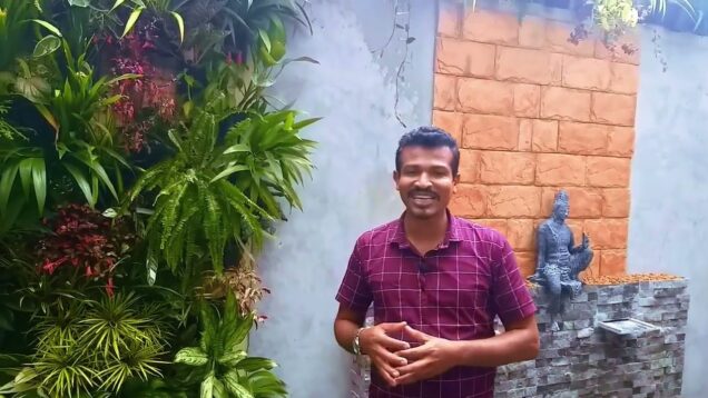 How to design green wall – පියවරෙන් පියවර- live wall DIY sinhala 0716028824
