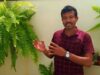 how to design Hanging plants ලස්සනට මල් පැල සිටවමු 0716028824
