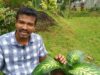 Poisonous house plants 1 ඔබේ ගෙදර තිබෙන විෂ ශාක​ -Gewathu Alankaranaya