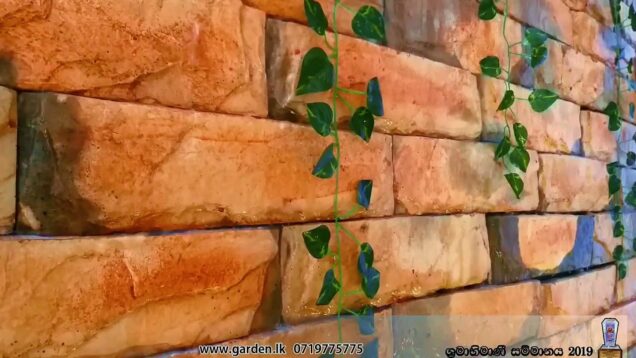 බොරුවට කරන්ට් බිල යන AC වෙනුවට සුන්දර දිය ඇල්ලක් මැද සාලයේ හදමු Maintenance free waterfall sri lanka