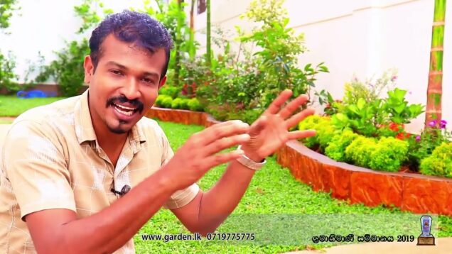 ගෙමිදුල මලින් සරසමුද Amazing Garden design ideas colombo sri lanka – by gemiya www.garden.lk