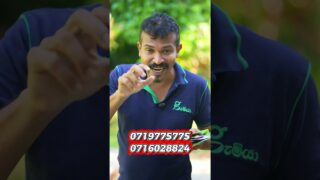 ගංවතුරෙන් ඔයාගෙ වගාවත් හානි උනාද ? මෙන්න අපෙන් නොමිලේ බිජ