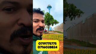 සීමාවක් නැති වැස්සේ වතුරේ වවමු