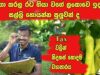 Tax නැතුව ලාබ උපන්න පුලුවන් හොදම ව්‍යාපාරක් තමයි වගාව කියන්නෙ