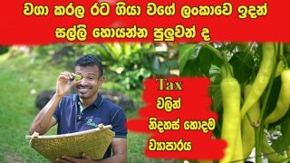 Tax නැතුව ලාබ උපන්න පුලුවන් හොදම ව්‍යාපාරක් තමයි වගාව කියන්නෙ