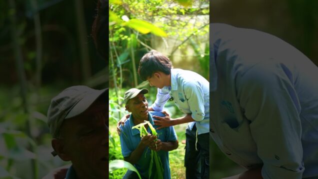 රෑ වටුන වැලේ දවල් වටෙන්න එපා