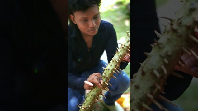 තරුණ යාචකයා…