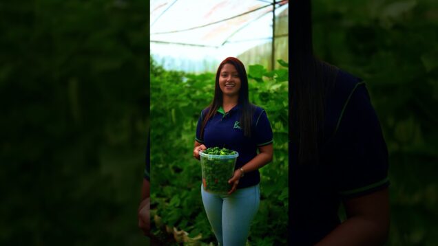 ලක්ෂ ගානින් මුදල් මවන ක්ෘශි ව්‍යවසායකයෙක් වෙමුද?