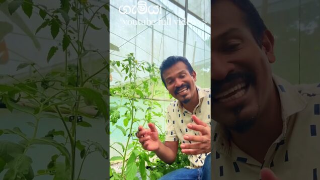 අපේ ජීවිතය පහසු කරන පුංචි පුංචි Items