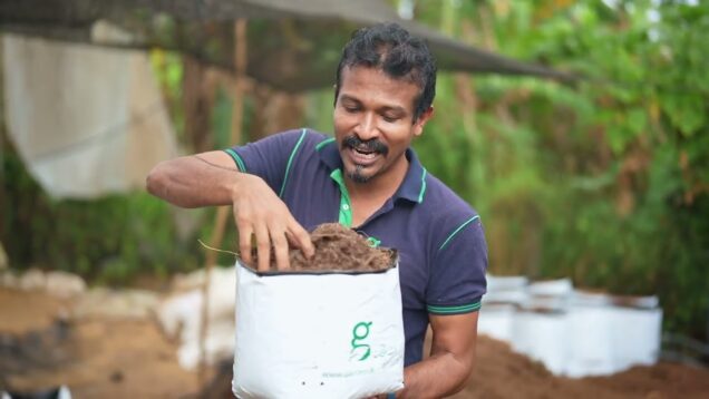 අපේ මේ Grow Bags වලින්ඉඟුරු, කහ, ,ඔනෑම එළවලු, පලතුරු වගා සහ මල් වර්ගත්සාර්ථකව වගා කරගන්න පුළුවන්