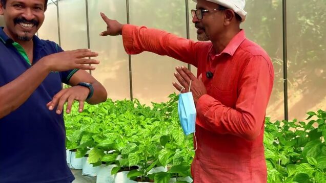 Unskilled labor විදිහට korea යන්න එපා