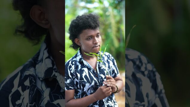 ඉගුරු පැටවු ගහන Grow bag ගන්න අපිට කතා කරන්න