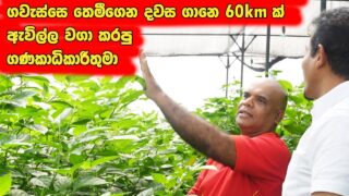 ලක්ෂ ගානෙන් සල්ලි මවන්න මොනවද හොදම Investments? බැංකුවෙ සල්ලි දාන්නද?