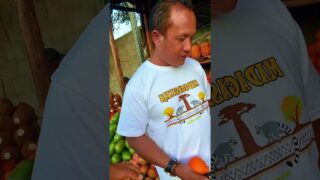 ලංකාවෙ මේ පාට fresh දොඩම් නෑ