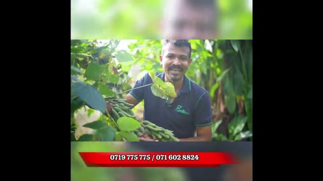 🎓 Practical Training ගොඩාක් දෙනාගේ ඉල්ලීම පරිදි අප ආයතනයට පැමිණමෙවාව ප්රායෝගිකව කියලා දෙනවා