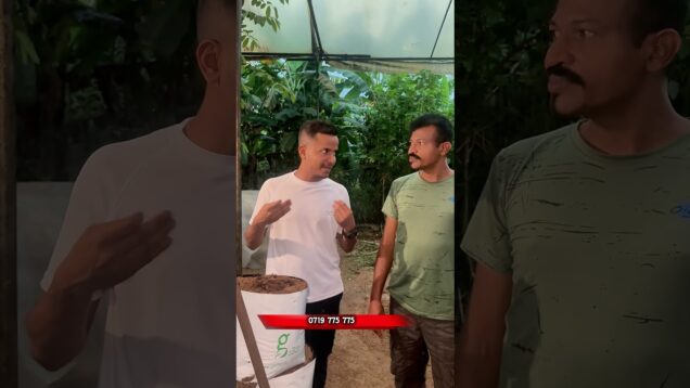 වගාවට කැමති ඔබට