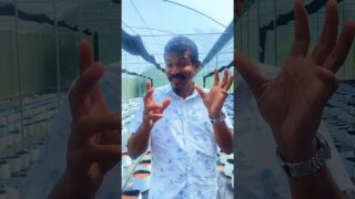 මේ වර්ග අඩි 6000 ක හරිතාගාරයක්