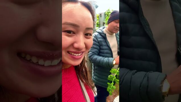 මේ වගා දැක්කම ආසයි නේද?