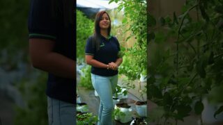 ජීවිතේ ලස්සනම දවස් එන්නෙ ඉස්සරහට