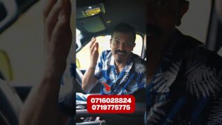 මේ ඔබේ සිහින රැකියාව විය හැක