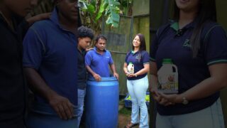 බැරල් එකට එබුවා