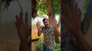 green house පුස්තකාල දැකල තියනවද?