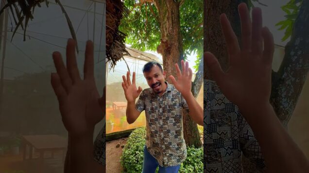 green house පුස්තකාල දැකල තියනවද?