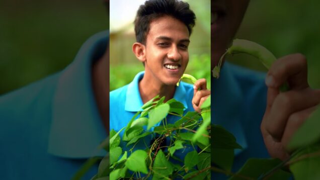 උඩටම නැග්ගා