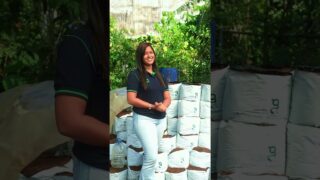 වල් ගලෝලම එපා වෙලාද?