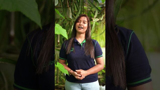 යල් පැනගිය තාක්ෂණයෙන් එහා ගිහිල්ලා නවීන විදිහට වගා කරමු