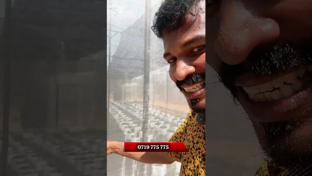 වගාවට ආයෝජන කරන්න ඔබත් කැමතිද ?