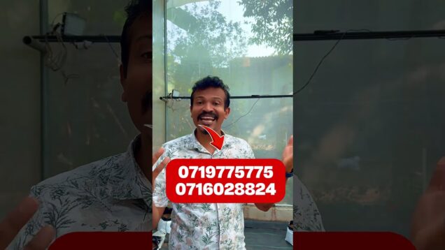 මේ කාලෙ වවන අය දිනුම්